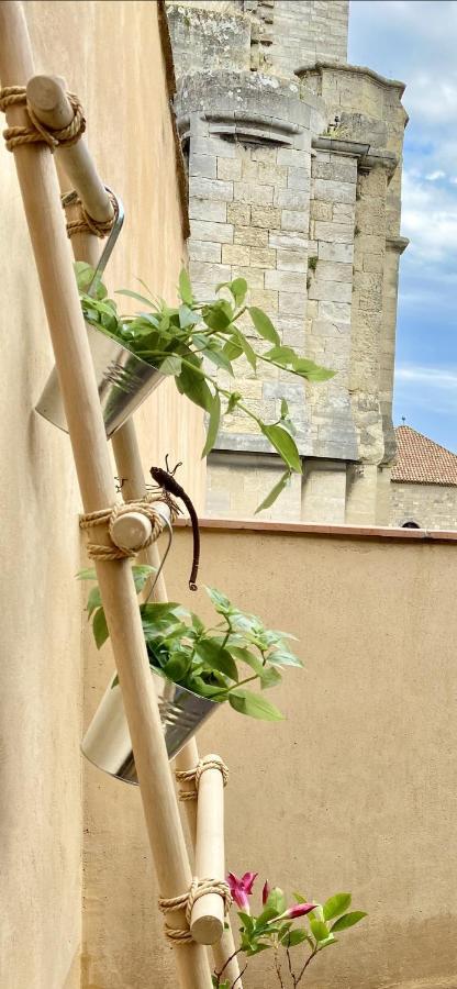 Tresors De La Cathedrale, Maison De Ville Sur 4 Niveaux นาร์บอนน์ ภายนอก รูปภาพ